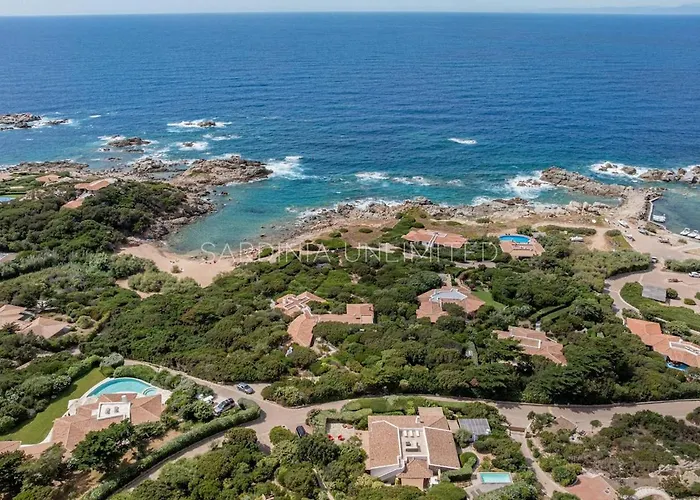 Lotus Harmony - Sardinia Unlimited * Portobello