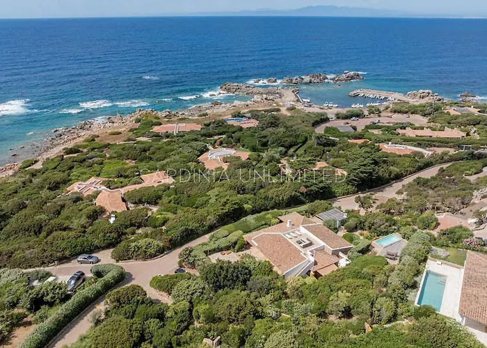 Lotus Harmony - Sardinia Unlimited * Portobello