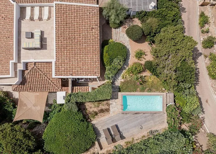 Lotus Harmony - Sardinia Unlimited